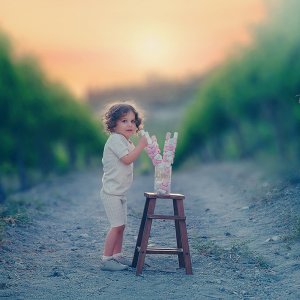 DSC_6087-Enhanced-NR copy.jpg