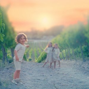 DSC_6108-Enhanced-NR copy.jpg