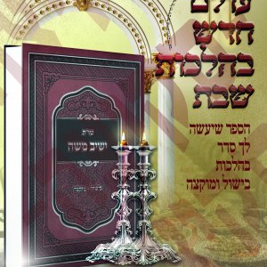 סקיצה ישיב משה copy.jpg