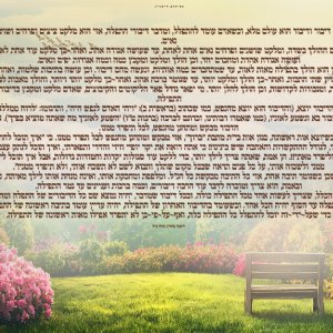 ביאור 2025-07-16 214516.jpg