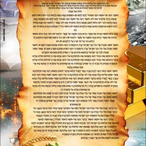 ביאור 2025-07-16 214511.jpg