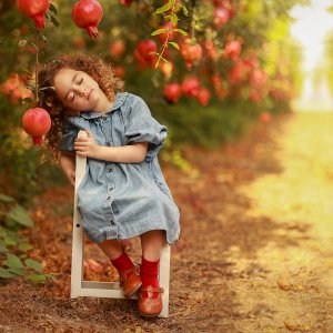 081A1158 copy 2קטן.jpg