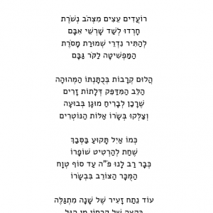 לחיי התחלות חדשות