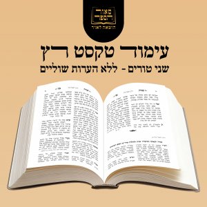 הדמיה טורים.jpg