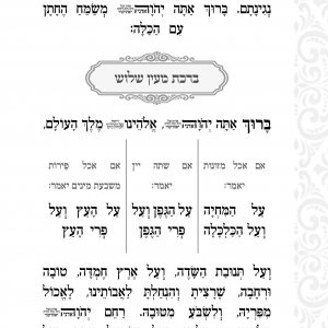 דוגמא זמירון7.jpg