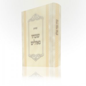 הדמיה כריכה.jpg