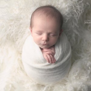 צילום ניו בורן רבקי בקר (רפפורט) 0583274887.jpg