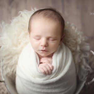 צילום ניו בורן רבקי בקר (רפפורט) 0583274887.jpg