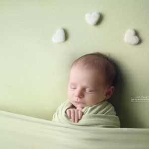 צילום ניו בורן רבקי בקר (רפפורט) 0583274887.jpg