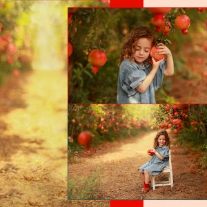 Untitled-8 copy 2מוקטן.jpg