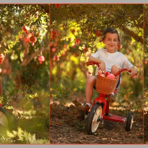 Untitled-12 copy 2מוקטן.jpg