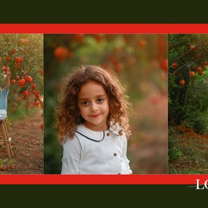 Untitled-13 copy 2מוקטן.jpg