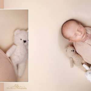 צילום: גילה שלסר 0548539444