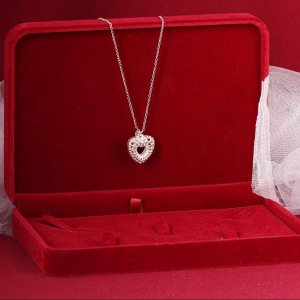 דבורי הרשלר 0527143082 מוקטן (1).jpg