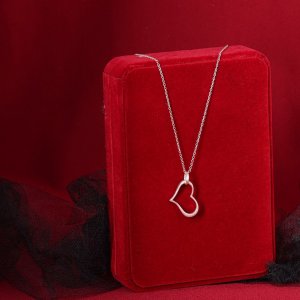 דבורי הרשלר 0527143082 מוקטן (5).jpg