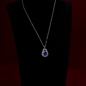 דבורי הרשלר 0527143082 מוקטן (6).jpg