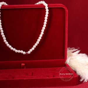 דבורי הרשלר 0527143082 מוקטן (7).jpg