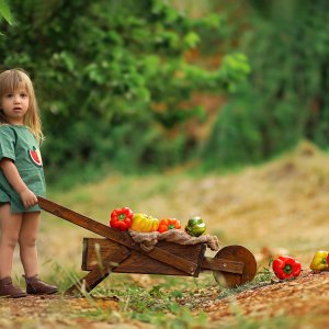 נחמי למברגר 0548525361 (18).jpg