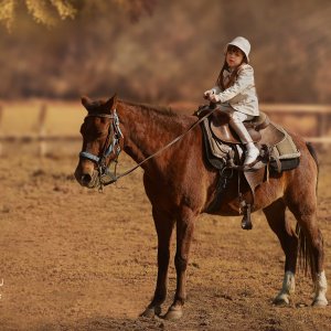 הילי ארגמן 0527656832 (4).jpg