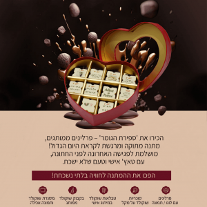 פירסום כלה.png