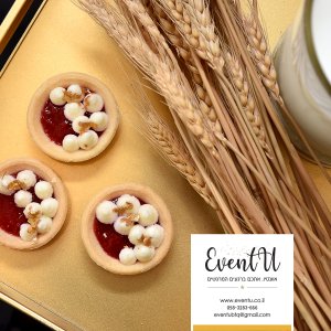 DSC_0939מעובד copy.jpg