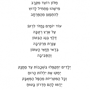 צבע אפור צבע אפור