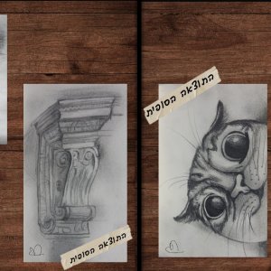 צילום מסך 2025-11-19 004015.jpg