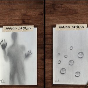 צילום מסך 2025-11-19 004048.jpg