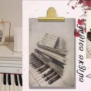 צילום מסך 2025-11-19 004121.jpg