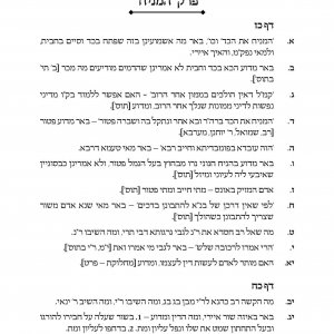 ויגד משה בבא קמא_Page_013.jpg