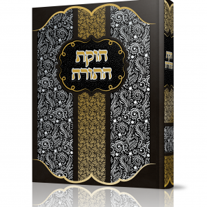 הדמיה חוקת התורה.png