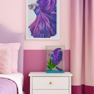 ChatGPT Image Aug 26, 2025, 12_35_05 PM.png