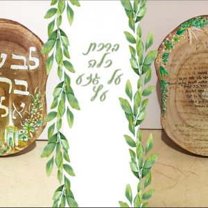 צילום מסך 2025-12-09 181458.jpg