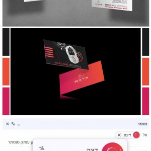 מיתוג לאולפן איידי ברגמן