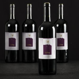 עיצוב ע"י גילי שנור PERFECT