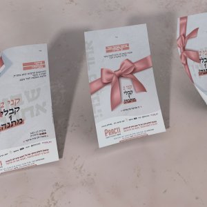 עיצוב ע"י גילי שנור PERFECT