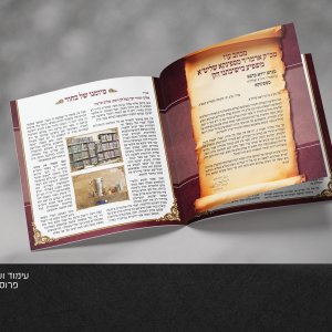 פרוספקט 13.jpg