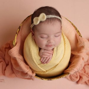 Michal Levin Photography