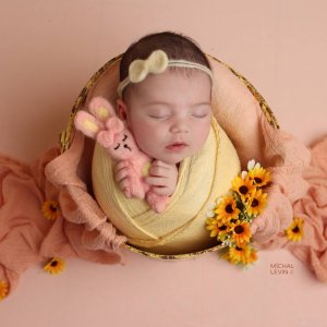 Michal Levin Photography