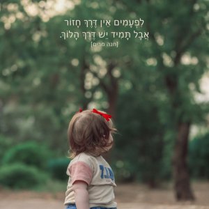 312 (גדול).jpg