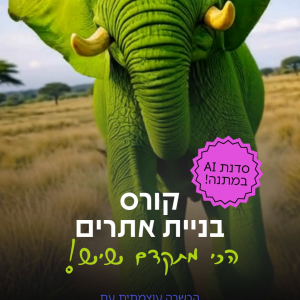 קורס בניית אתרים