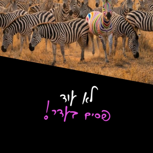 לא עוד פסים בעדר!