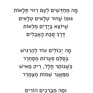 עד החטוף האחרון
