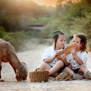 צילום מלכי אייזנבך -0527675665  (8).JPG