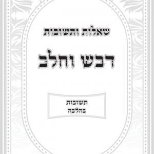 שער לחלקים נוספים בספר.png