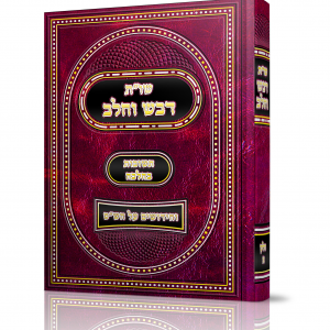 מוקאפ בוק 6 דוגמא 2.png