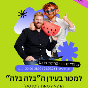 וובינר