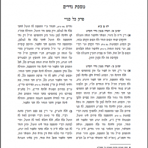 הערות על נדרים.png