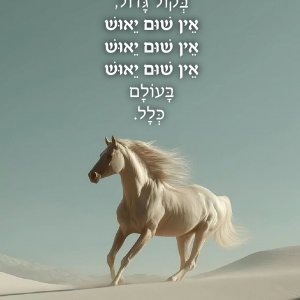 השראות-08-07.jpg