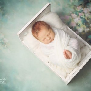 2O0A1703-Recovered copy.jpg